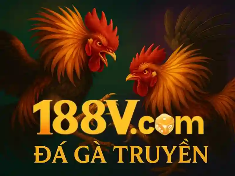  giải trí trực tuyến - 188V - gosport-appliance-repairs.co.uk