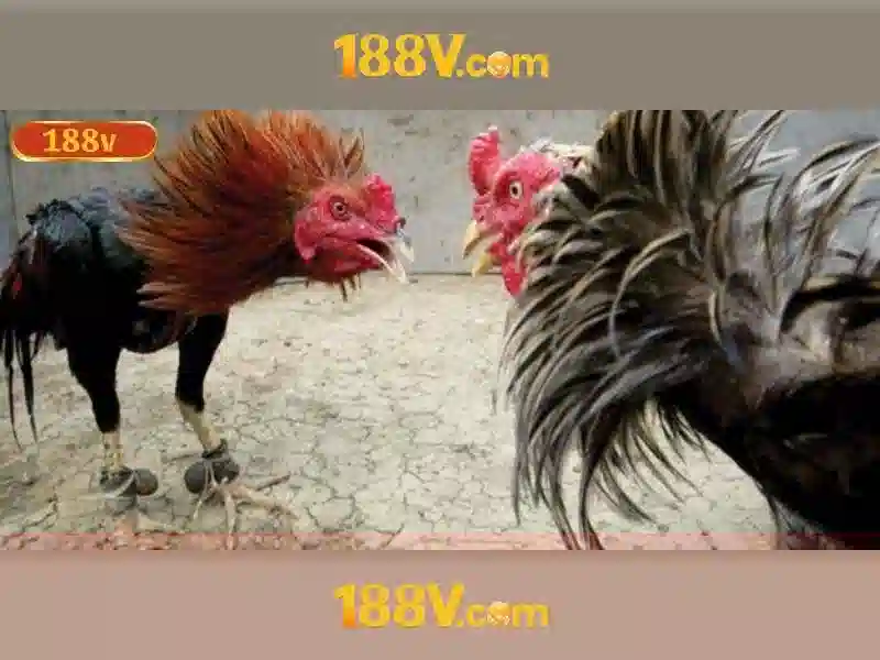 188v: Khái niệm, ứng dụng và tiềm năng công nghệ