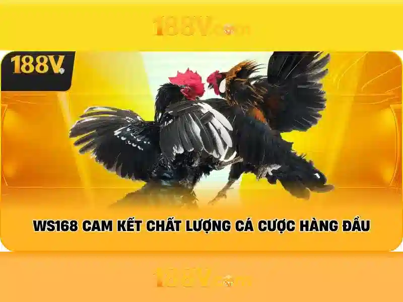 188v,com – Trải nghiệm đỉnh cao và ưu đãi 188v