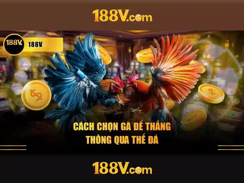 Khám phá 188v: hành trình sáng tạo và công nghệ
