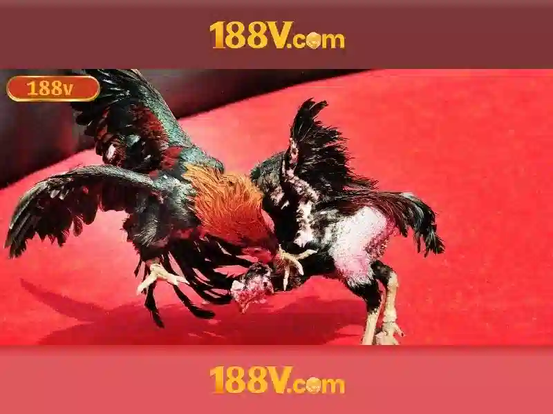 188V: Khái niệm, nguồn gốc và ứng dụng