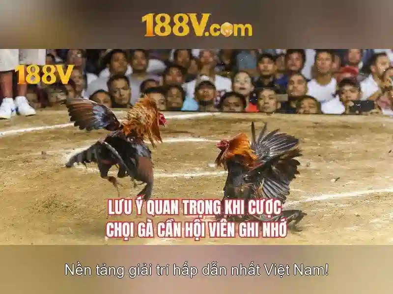 188v: Khám phá và ý nghĩa của con số trong công nghệ