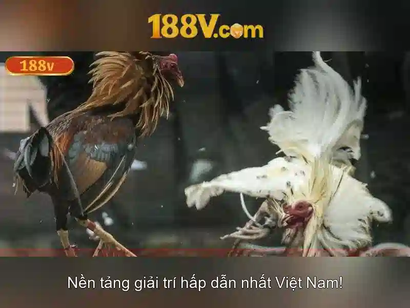 Điện áp 188V và an toàn khi làm việc