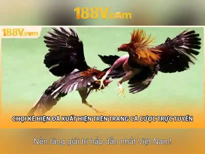 Khám phá 188V: ý nghĩa và ứng dụng